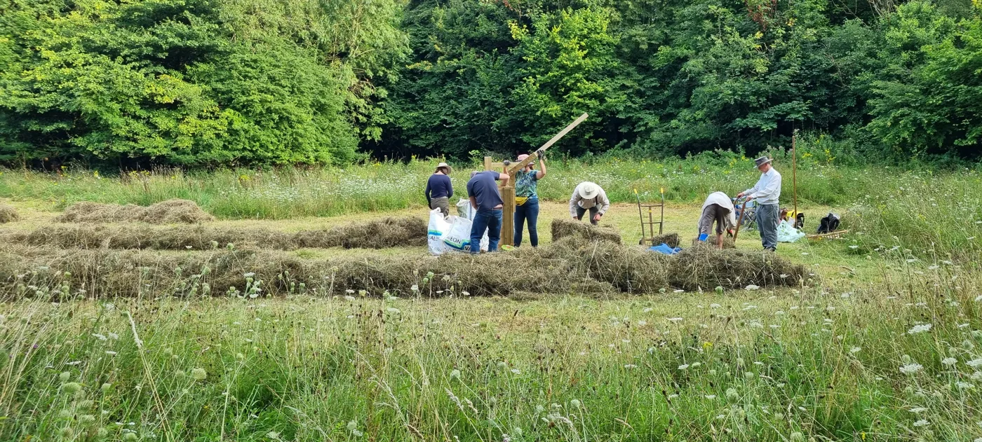 Volunteers baling cut hay with a wooden box baler at the Cowslip Field in Winchester